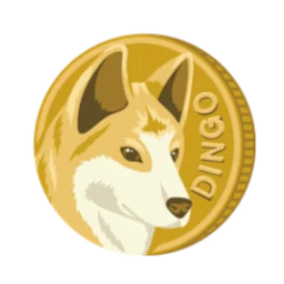 dingo