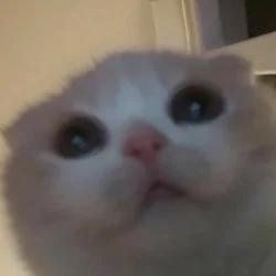 GRR