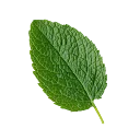 mintsolo.com mining pool logo