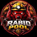 pool.rabidmining.com