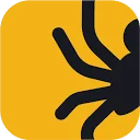spiderpool.com