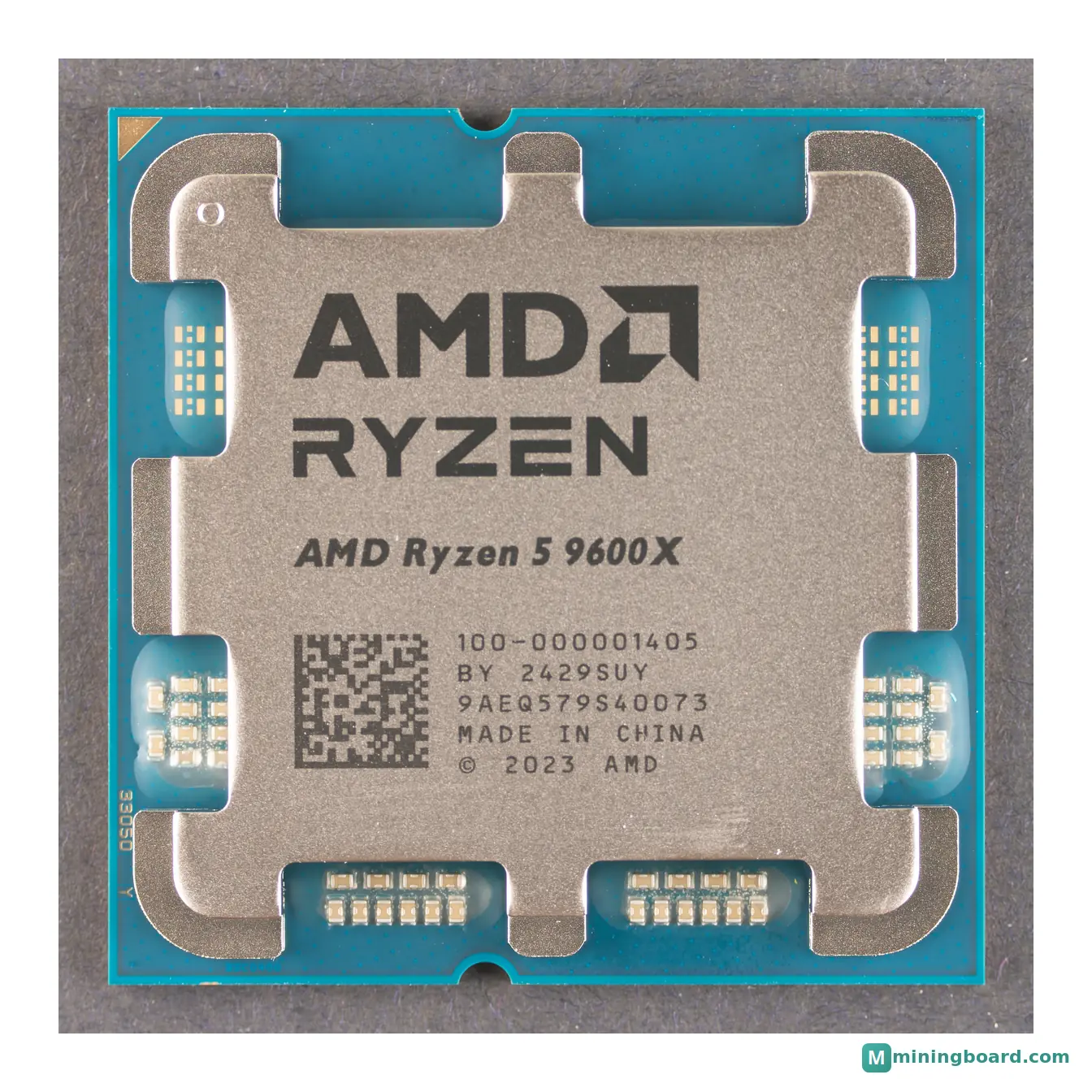 AMD CPU Ryzen 5 9600X mining rig